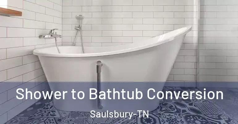 inner Bathroom imggen Shower to Bathtub Conversion Saulsbury-TN