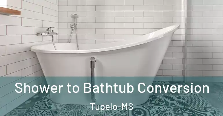 inner Bathroom imggen Shower to Bathtub Conversion Tupelo-MS