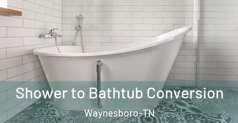 inner Bathroom imggen Shower to Bathtub Conversion Waynesboro-TN