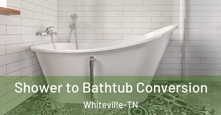 inner Bathroom imggen Shower to Bathtub Conversion Whiteville-TN