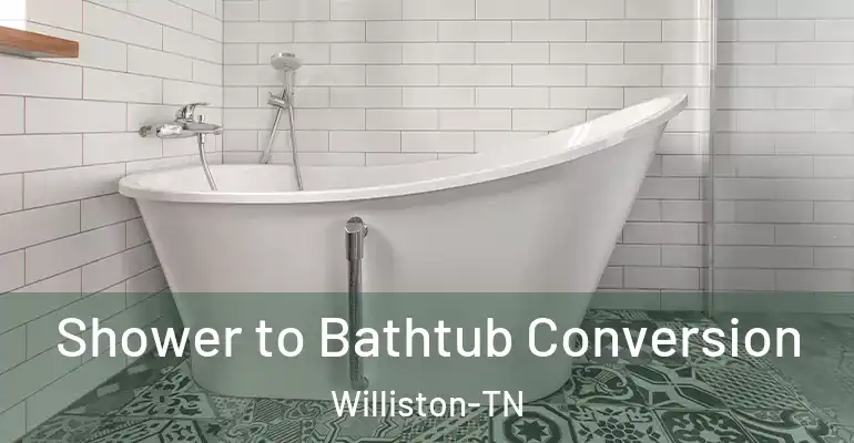 inner Bathroom imggen Shower to Bathtub Conversion Williston-TN