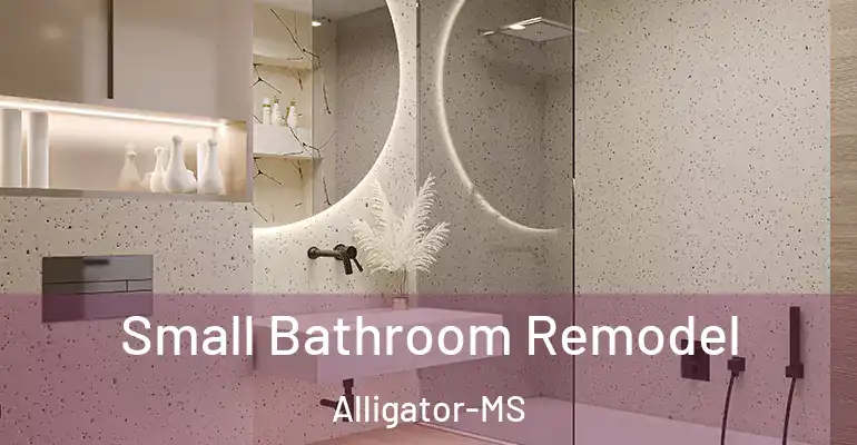 inner Bathroom imggen Small Bathroom Remodel Alligator-MS