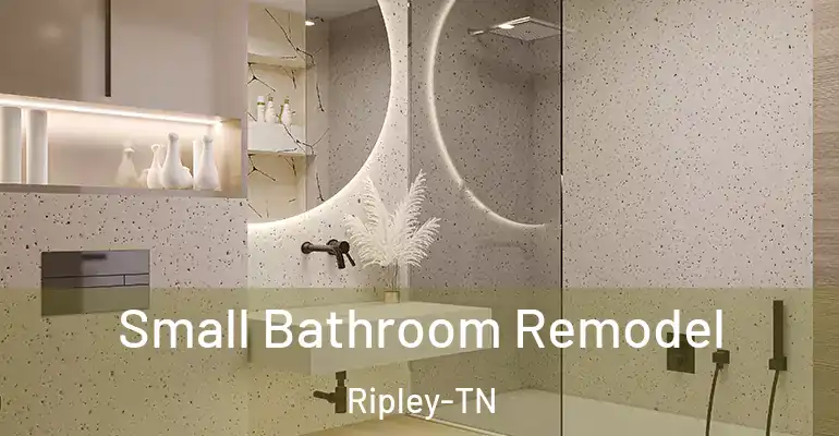 inner Bathroom imggen Small Bathroom Remodel Ripley-TN