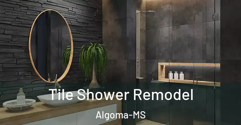 inner Bathroom imggen Tile Shower Remodel Algoma-MS