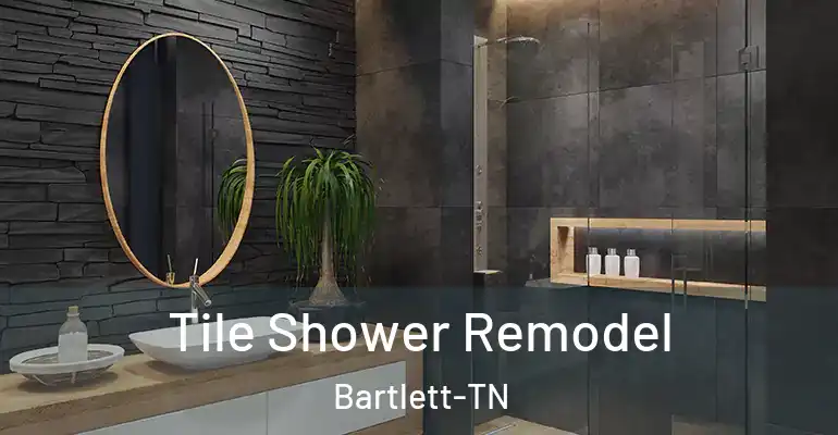 inner Bathroom imggen Tile Shower Remodel Bartlett-TN