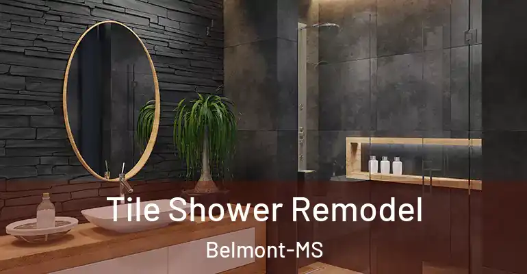 inner Bathroom imggen Tile Shower Remodel Belmont-MS