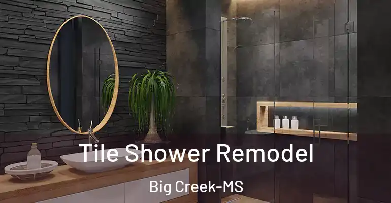 inner Bathroom imggen Tile Shower Remodel Big Creek-MS