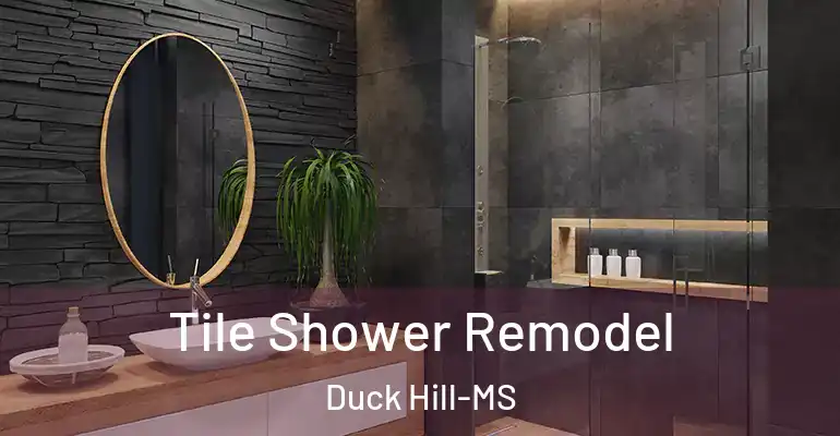 inner Bathroom imggen Tile Shower Remodel Duck Hill-MS