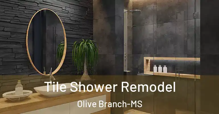 inner Bathroom imggen Tile Shower Remodel Olive Branch-MS