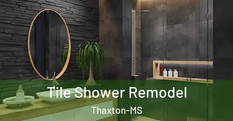 inner Bathroom imggen Tile Shower Remodel Thaxton-MS