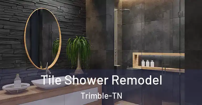 inner Bathroom imggen Tile Shower Remodel Trimble-TN