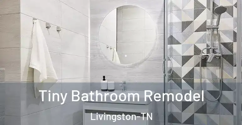 inner Bathroom imggen Tiny Bathroom Remodel Livingston-TN