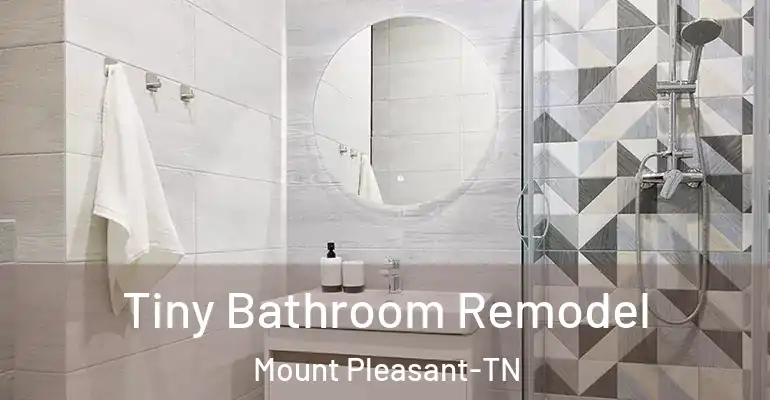 inner Bathroom imggen Tiny Bathroom Remodel Mount Pleasant-TN