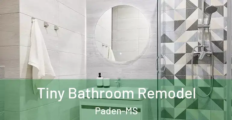 inner Bathroom imggen Tiny Bathroom Remodel Paden-MS