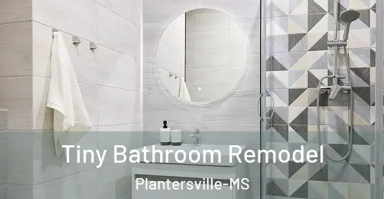 inner Bathroom imggen Tiny Bathroom Remodel Plantersville-MS