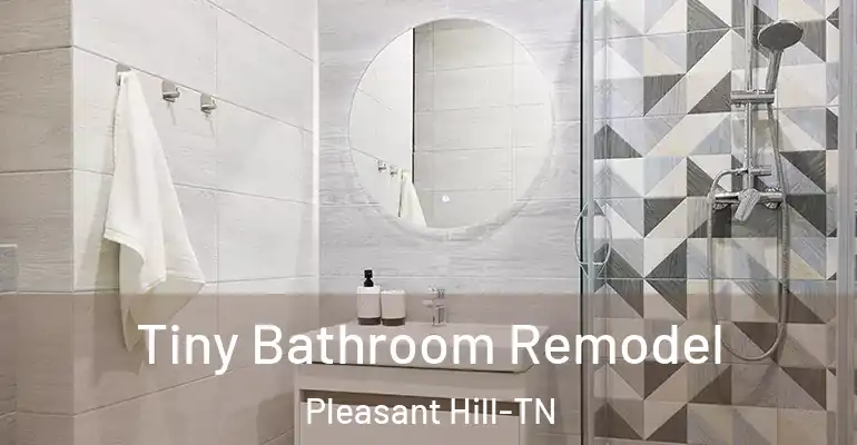 inner Bathroom imggen Tiny Bathroom Remodel Pleasant Hill-TN