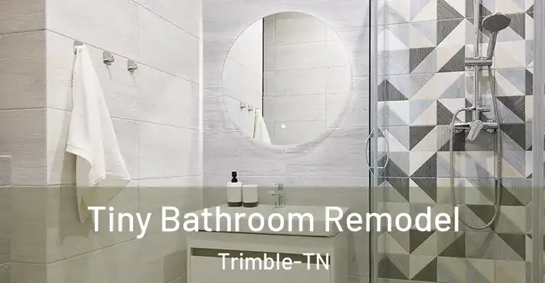 inner Bathroom imggen Tiny Bathroom Remodel Trimble-TN