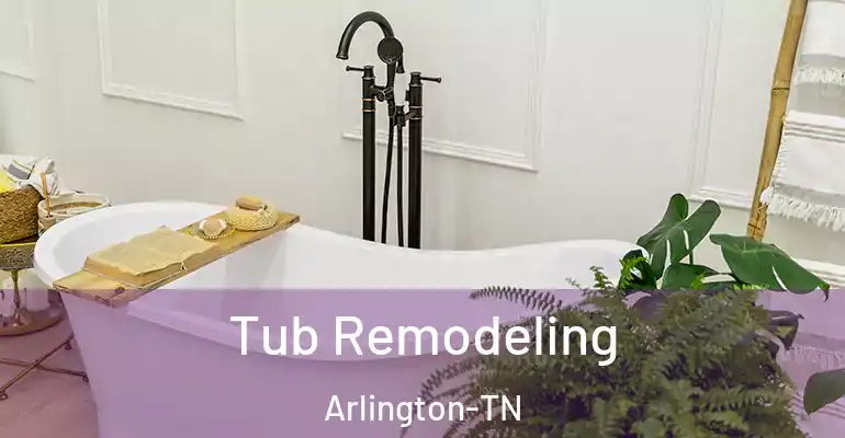 inner Bathroom imggen Tub Remodeling Arlington-TN
