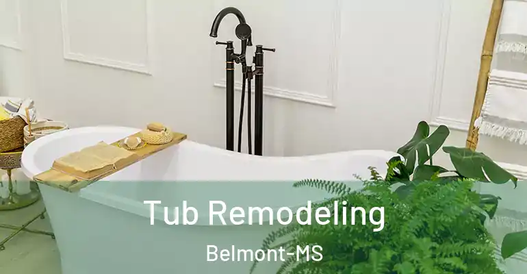 inner Bathroom imggen Tub Remodeling Belmont-MS
