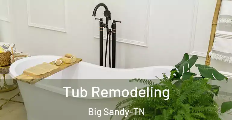 inner Bathroom imggen Tub Remodeling Big Sandy-TN
