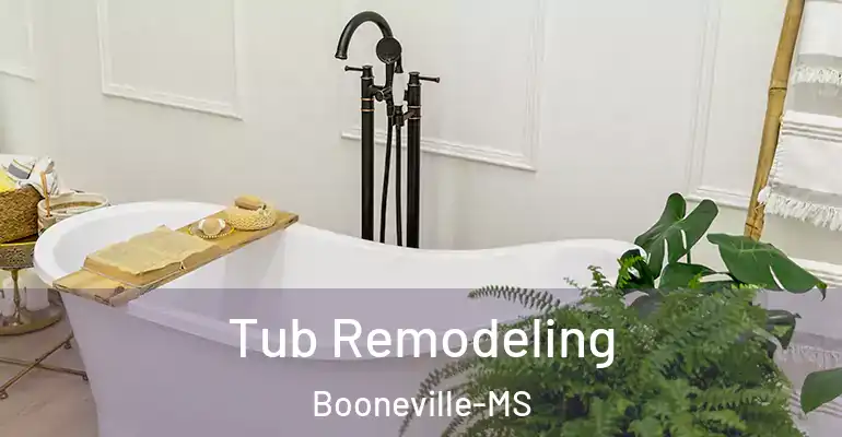 inner Bathroom imggen Tub Remodeling Booneville-MS