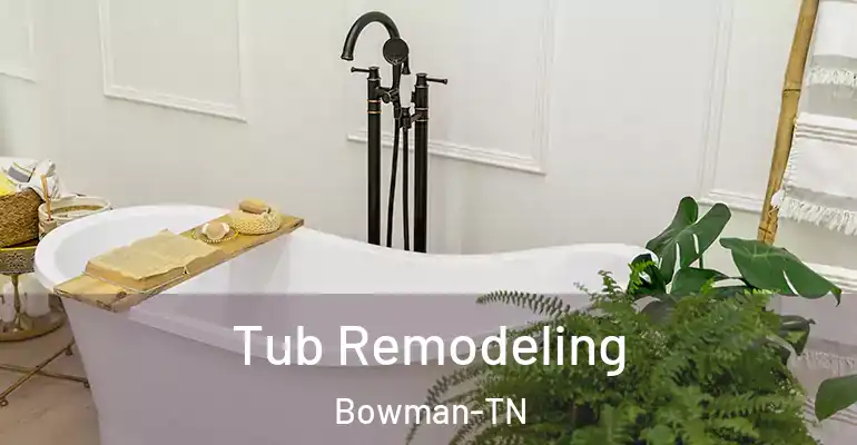 inner Bathroom imggen Tub Remodeling Bowman-TN