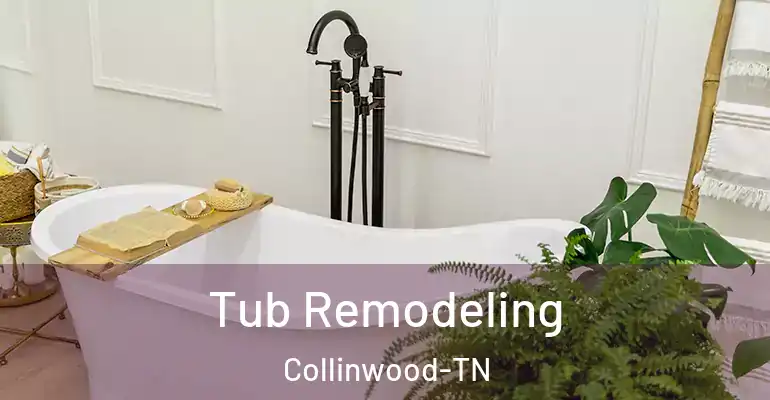 inner Bathroom imggen Tub Remodeling Collinwood-TN