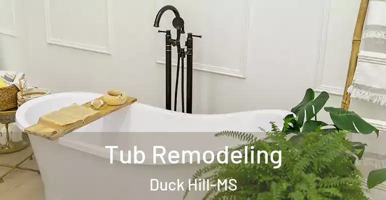 inner Bathroom imggen Tub Remodeling Duck Hill-MS
