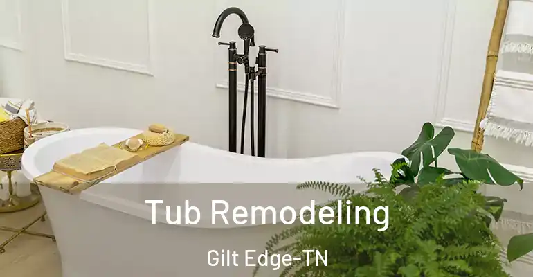 inner Bathroom imggen Tub Remodeling Gilt Edge-TN