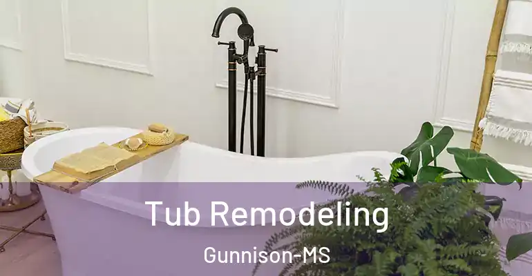 inner Bathroom imggen Tub Remodeling Gunnison-MS