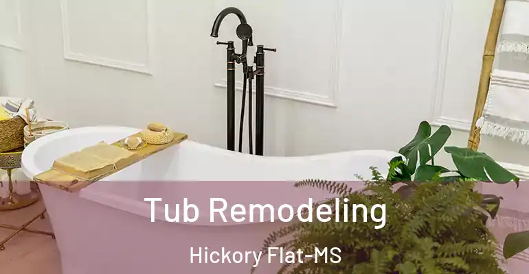 inner Bathroom imggen Tub Remodeling Hickory Flat-MS