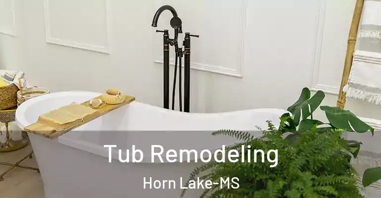 inner Bathroom imggen Tub Remodeling Horn Lake-MS