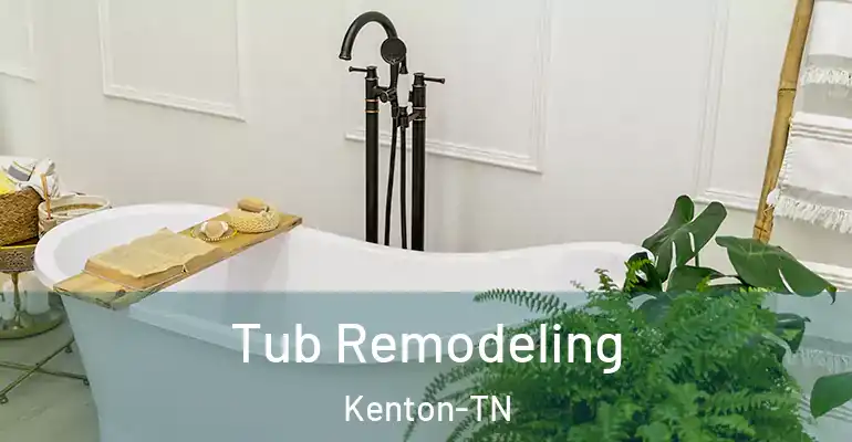 inner Bathroom imggen Tub Remodeling Kenton-TN
