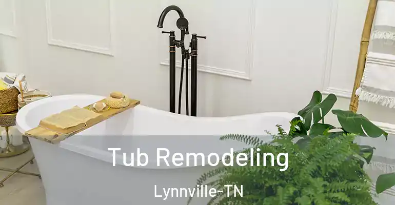 inner Bathroom imggen Tub Remodeling Lynnville-TN