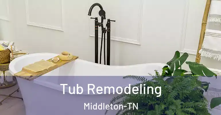 inner Bathroom imggen Tub Remodeling Middleton-TN