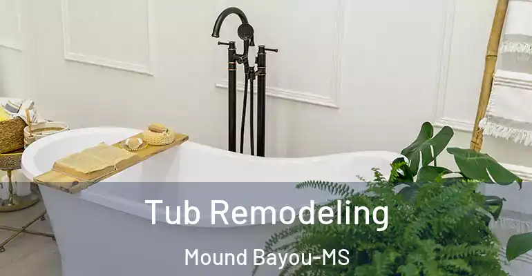 inner Bathroom imggen Tub Remodeling Mound Bayou-MS