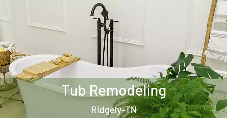 inner Bathroom imggen Tub Remodeling Ridgely-TN