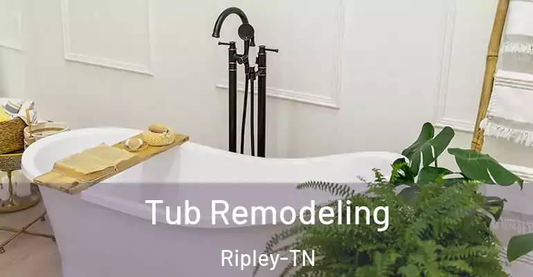inner Bathroom imggen Tub Remodeling Ripley-TN