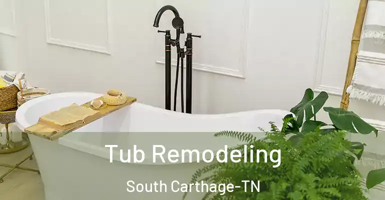 inner Bathroom imggen Tub Remodeling South Carthage-TN