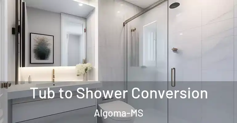 inner Bathroom imggen Tub to Shower Conversion Algoma-MS