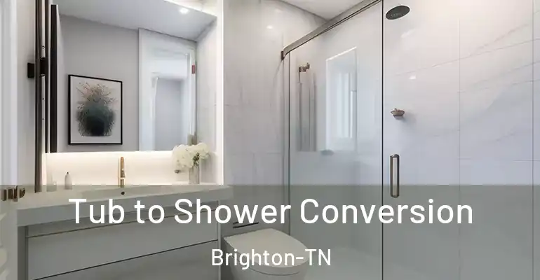 inner Bathroom imggen Tub to Shower Conversion Brighton-TN