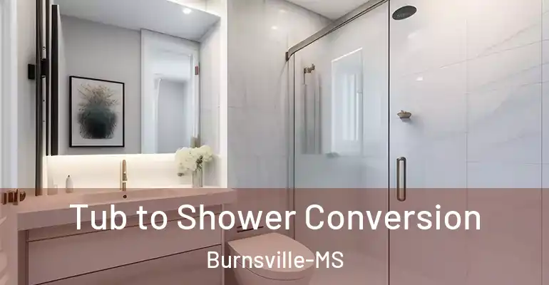 inner Bathroom imggen Tub to Shower Conversion Burnsville-MS