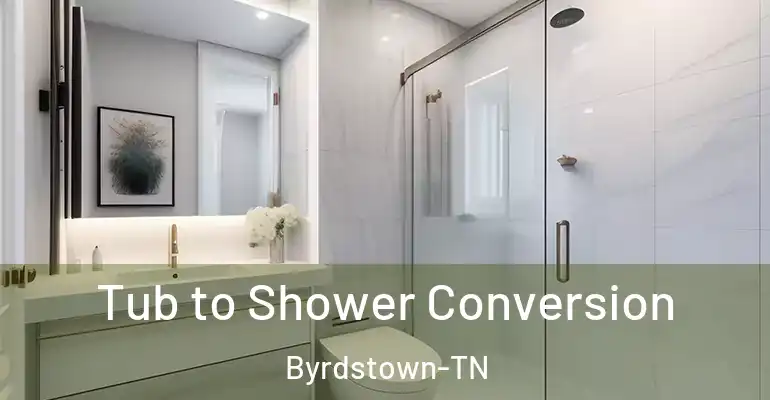inner Bathroom imggen Tub to Shower Conversion Byrdstown-TN