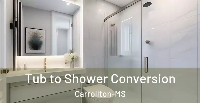 inner Bathroom imggen Tub to Shower Conversion Carrollton-MS
