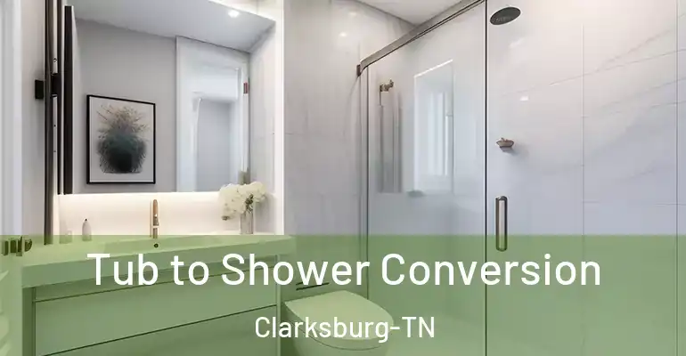 inner Bathroom imggen Tub to Shower Conversion Clarksburg-TN
