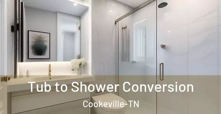 inner Bathroom imggen Tub to Shower Conversion Cookeville-TN
