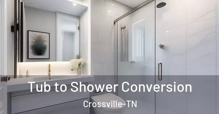 inner Bathroom imggen Tub to Shower Conversion Crossville-TN