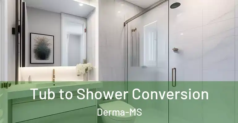 inner Bathroom imggen Tub to Shower Conversion Derma-MS