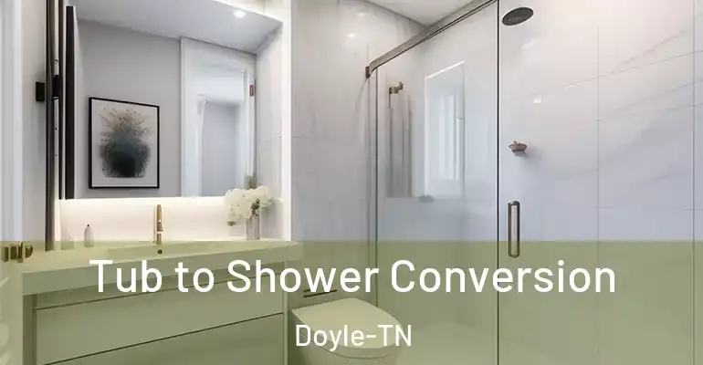 inner Bathroom imggen Tub to Shower Conversion Doyle-TN