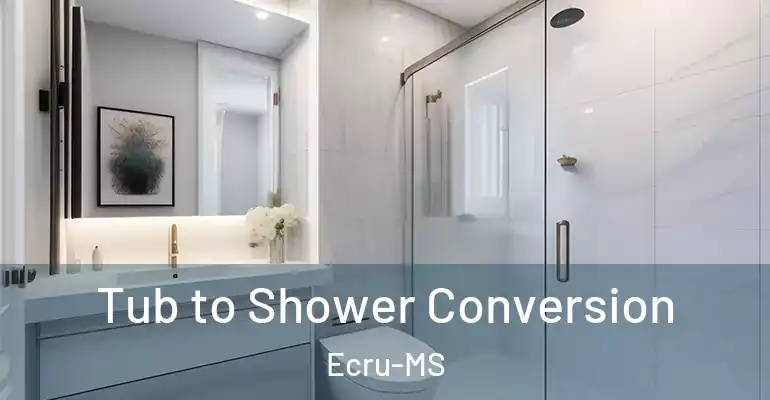 inner Bathroom imggen Tub to Shower Conversion Ecru-MS